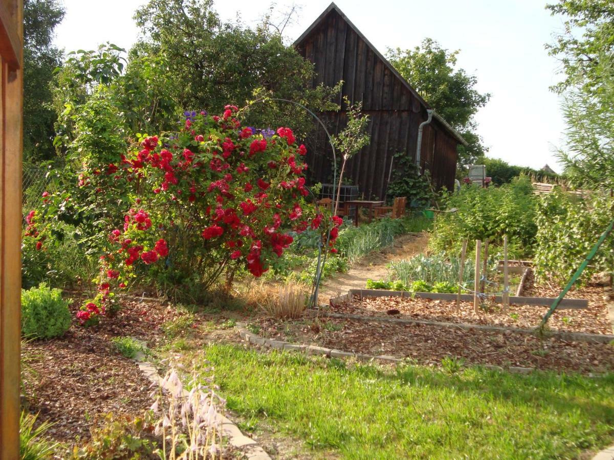 Ferienwohnungen Strohmayerhof Rastenfeld Kültér fotó